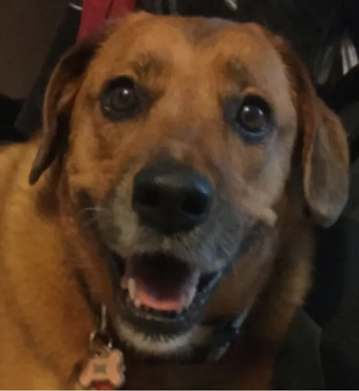 Penny