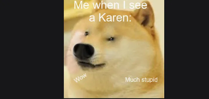 Doge