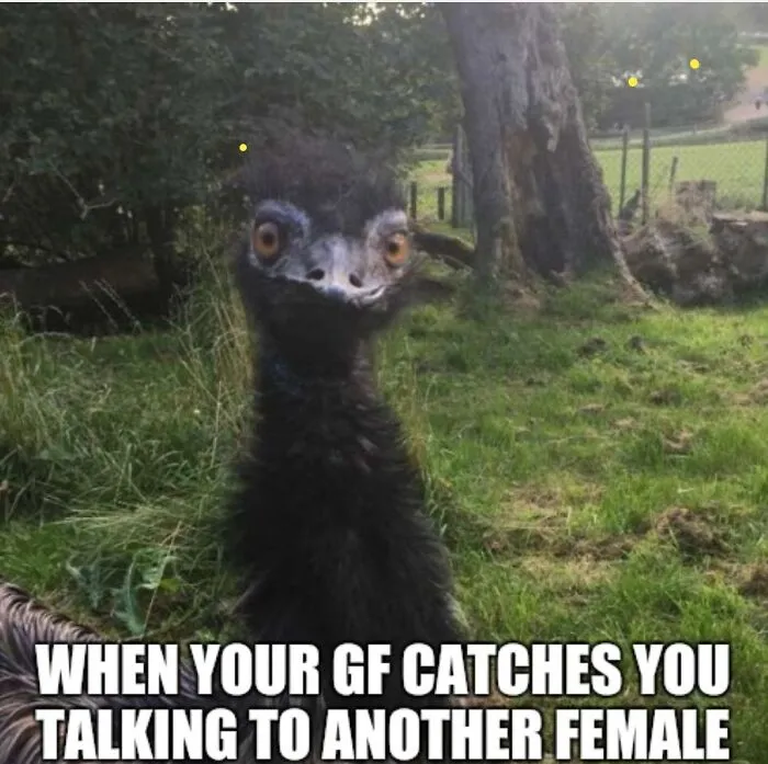 When Your GF Catches You Talking To Another Female