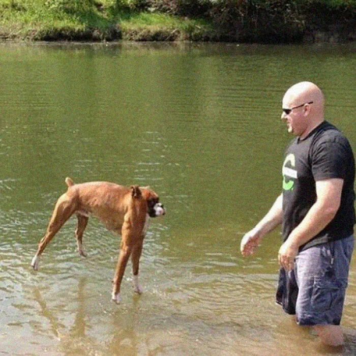 This Instagram Account Shows What Animals Would Look Like Without Necks (32 Pics)