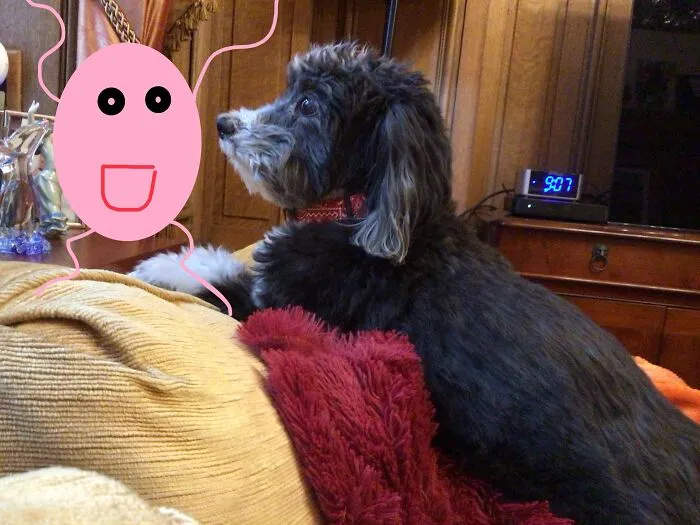 “Look At Meeeeeeeee”