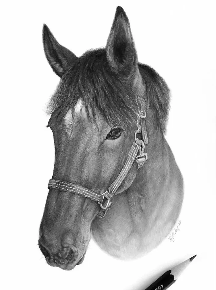 Artist Makes Realistic Pet Portraits Using Only A Pencil, Here Are The Best 49 Works