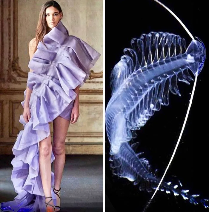 Fashion Often Draws Inspiration From Nature And This Instagram Account Proves It (30 Pics)