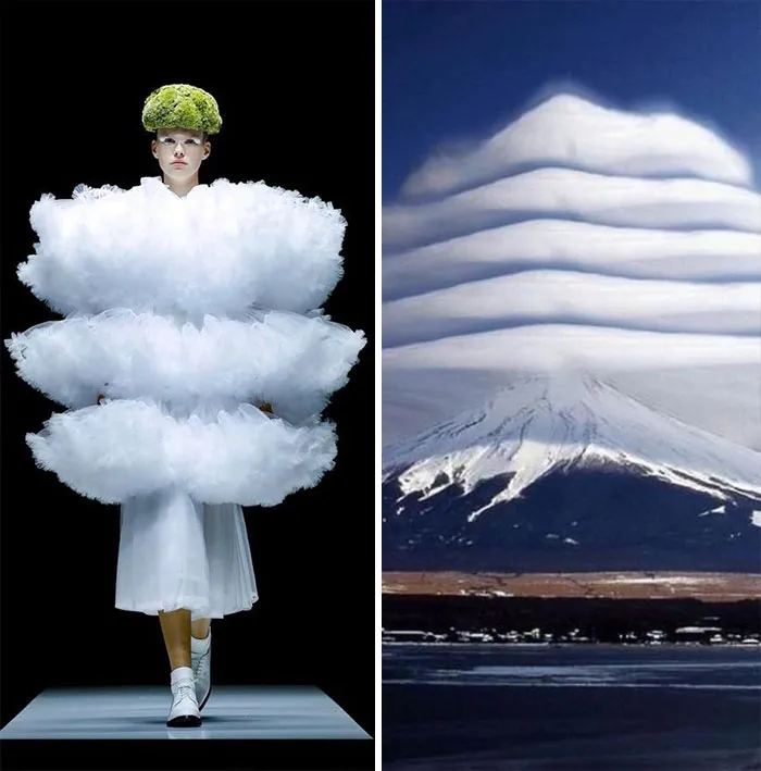 Fashion Often Draws Inspiration From Nature And This Instagram Account Proves It (30 Pics)