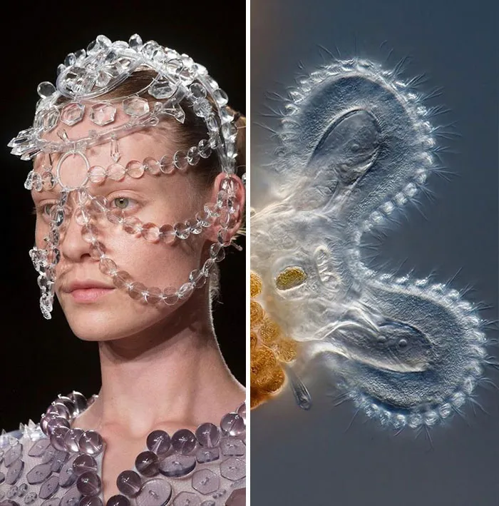 Fashion Often Draws Inspiration From Nature And This Instagram Account Proves It (30 Pics)