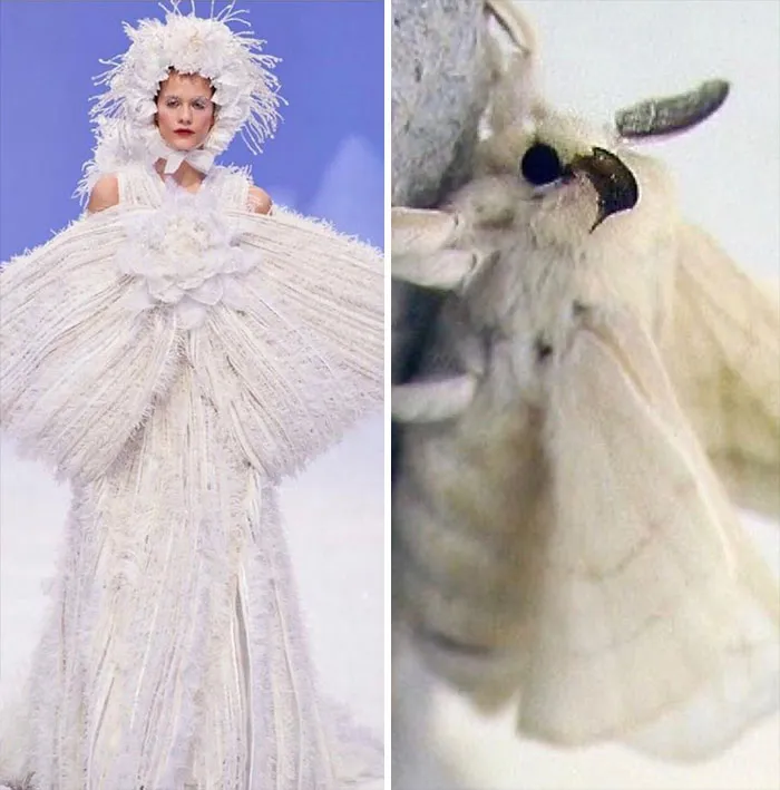 Fashion Often Draws Inspiration From Nature And This Instagram Account Proves It (30 Pics)