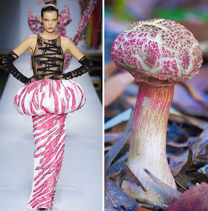 Moda inspirada en la naturaleza, como demuestra esta cuenta de instagram (30 fotos)