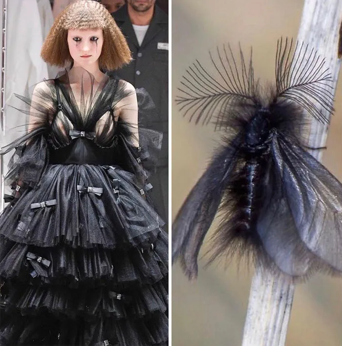 Fashion Often Draws Inspiration From Nature And This Instagram Account Proves It (30 Pics)