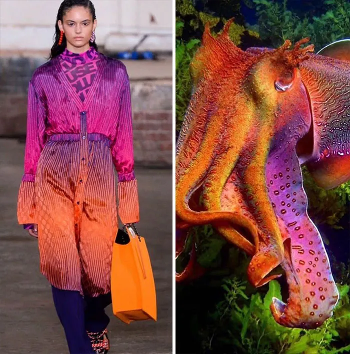Fashion Often Draws Inspiration From Nature And This Instagram Account Proves It (30 Pics)