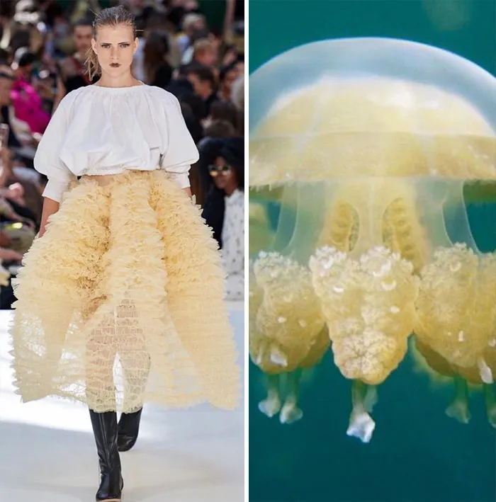 Fashion Often Draws Inspiration From Nature And This Instagram Account Proves It (30 Pics)