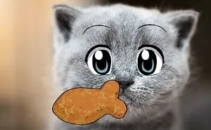 Hey Pandas, Photoshop This Sad Cat And Make It Happy! (Closed)