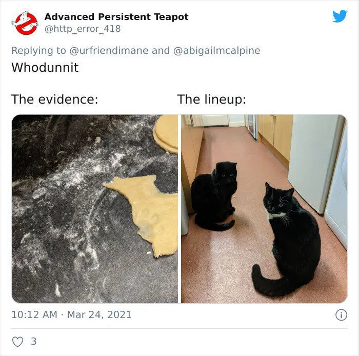 19 Crimes And Criminals Caught By Their Owners, As Shared In This Twitter Thread