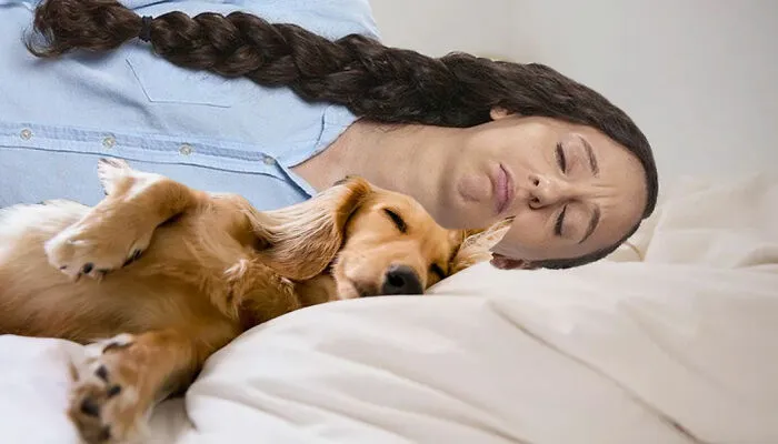 A Quick Nap