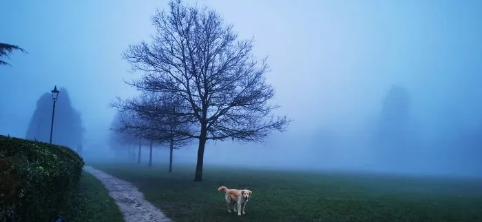 He's Hunting For Our Dinner😜