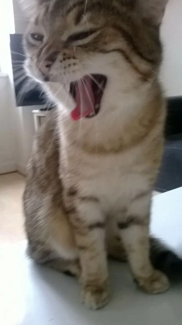 Keoni Wants His Breakfast Now