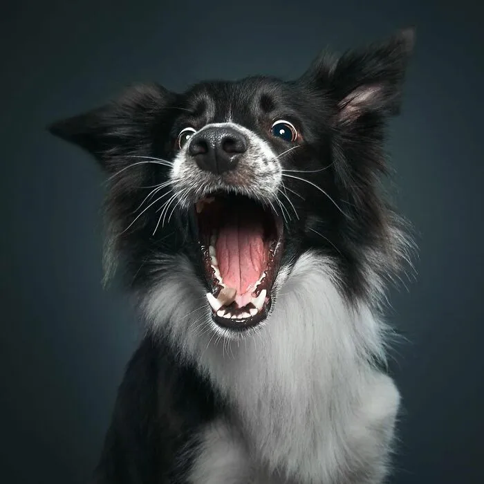 Yum!