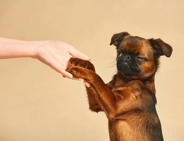 Trust Is A Basis For Any Relationship!