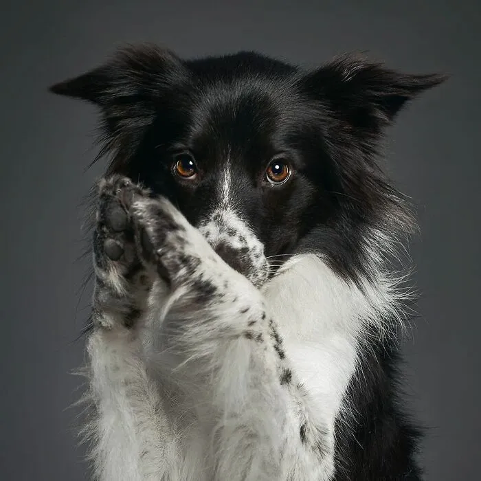 Shhhh... I Wanna Tell You Something...