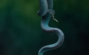 30 Of The Best Nature Photos From The Tokyo International Foto Awards