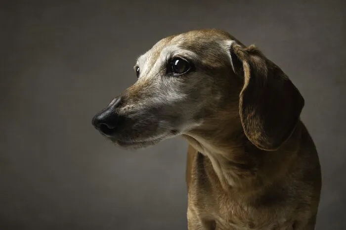 Aging Gracefully