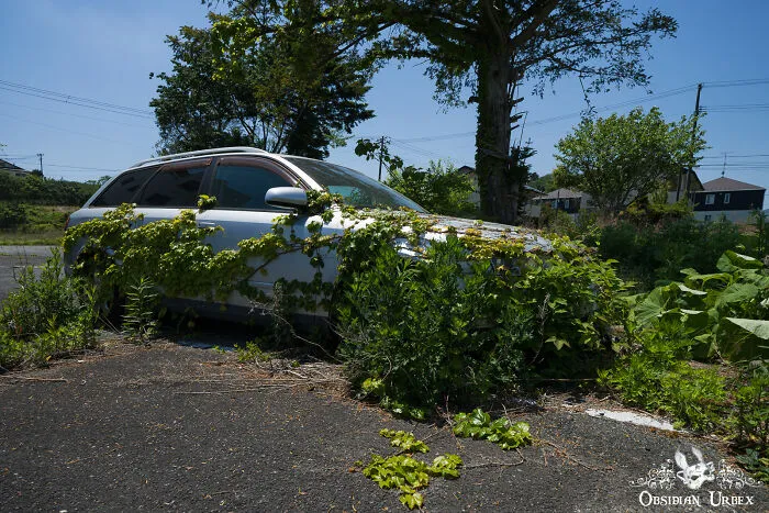 Everywhere You Can See Nature Swallowing Houses And Vehicles, The Things Left Behind When The People Fled