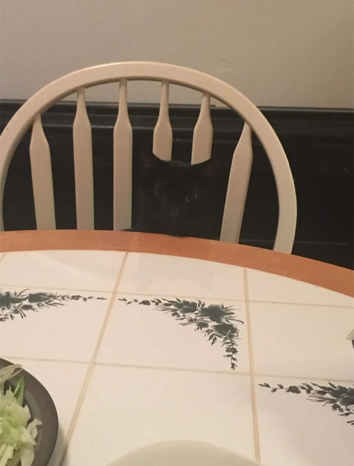I Thought The Chair Was Broken
