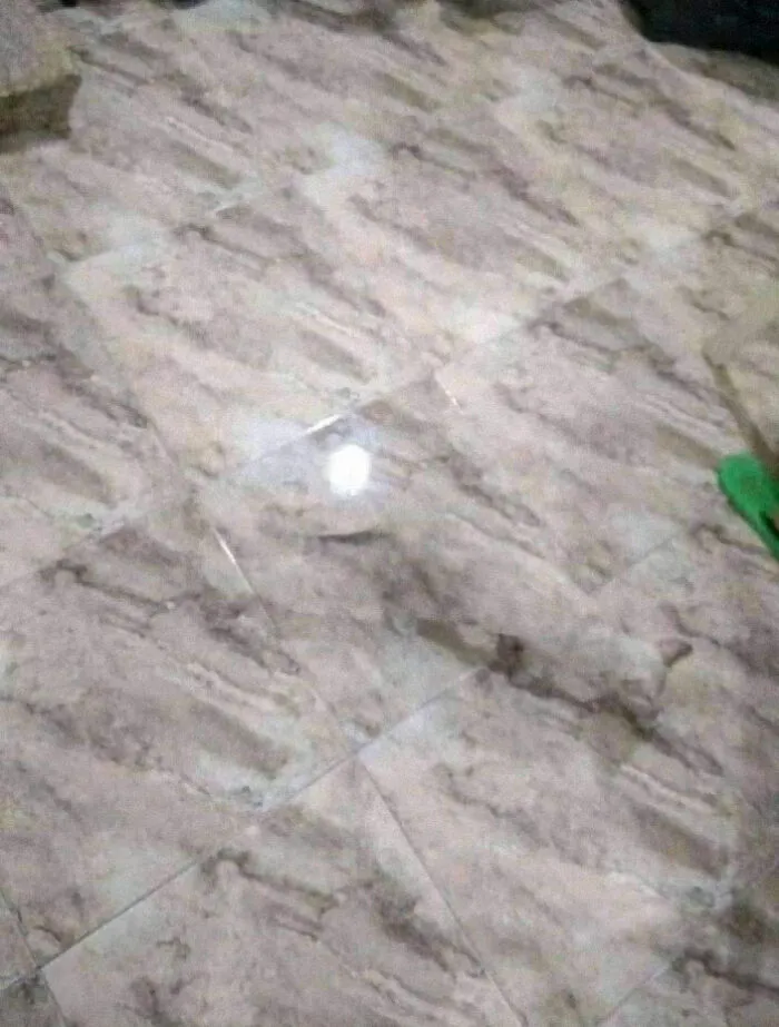 Don't Step On Him