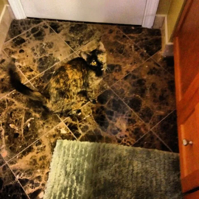 Marble Floor Probably Wasn't The Best Idea