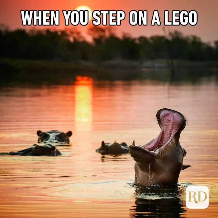 We All Know The Pain