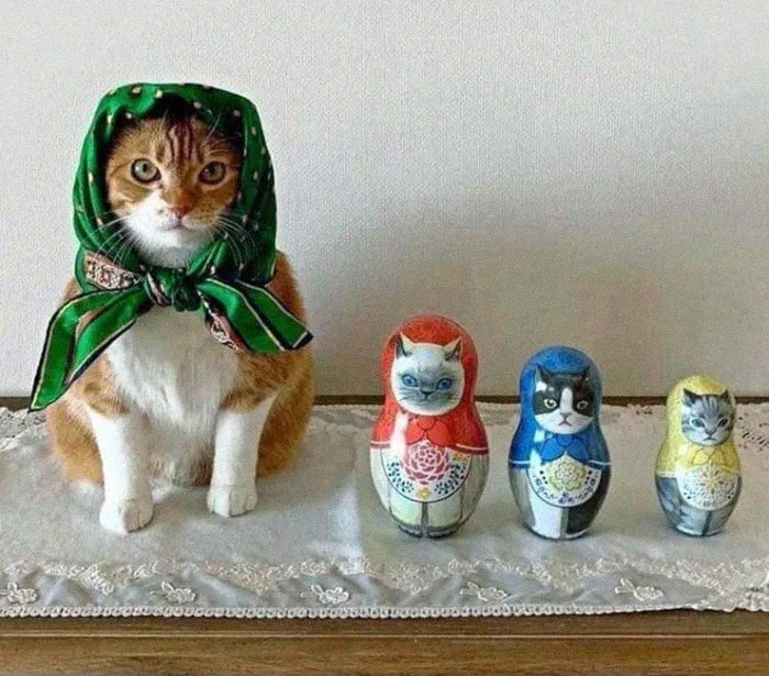 This Online Group Is Dedicated To Adorable Cat Babushkas (30 Pics)