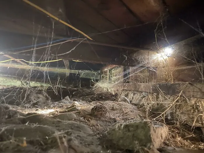 22 «Pesadillas» y «milagros» vistos durante inspecciones estructurales (nuevas fotos)