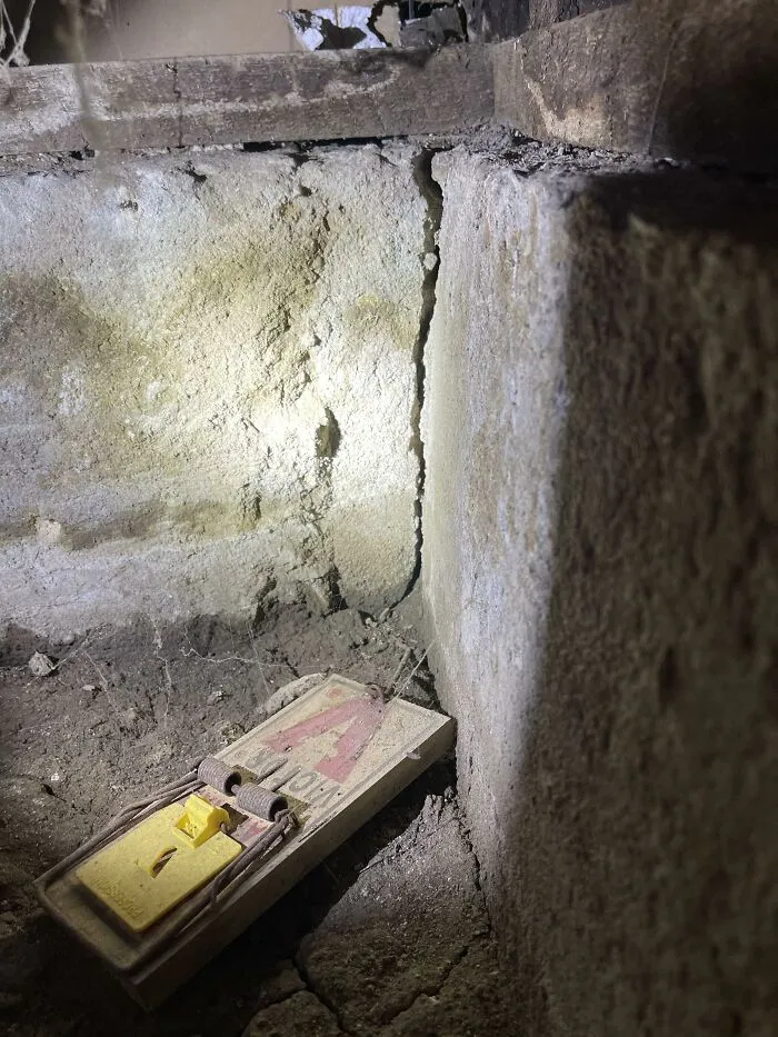 22 «Pesadillas» y «milagros» vistos durante inspecciones estructurales (nuevas fotos)