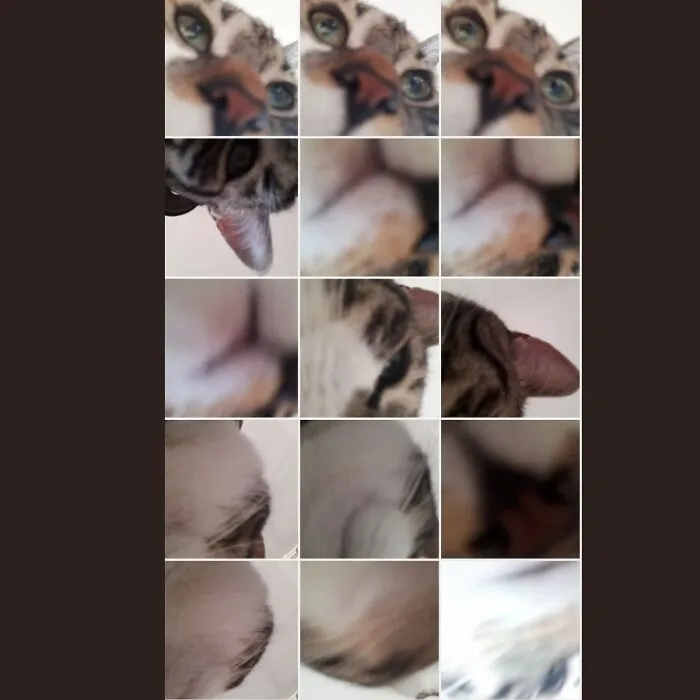 That One Time My Cat Found The Caner