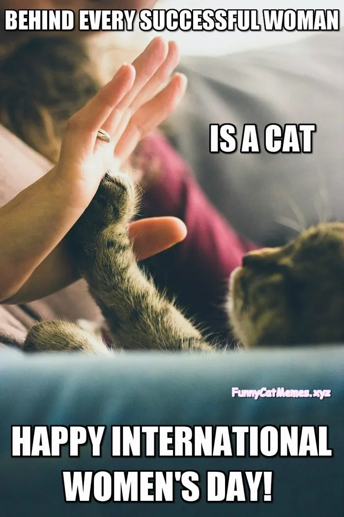 Behind Every Successful Woman Is A Cat
