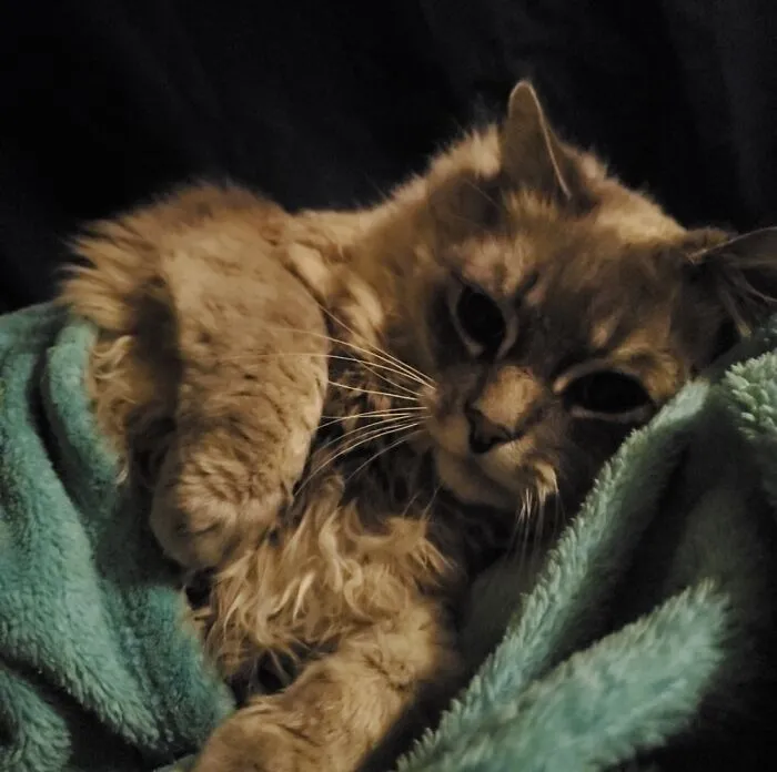 Super Cozy :)