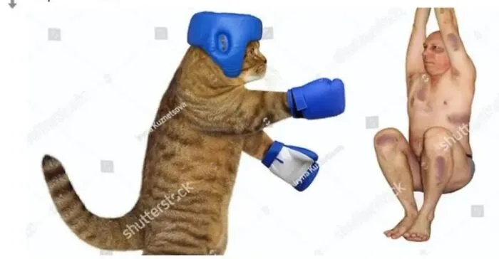 I Have No Idea Whats Going On