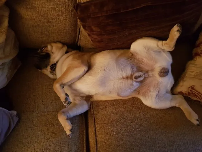 Letting It All Hang Out