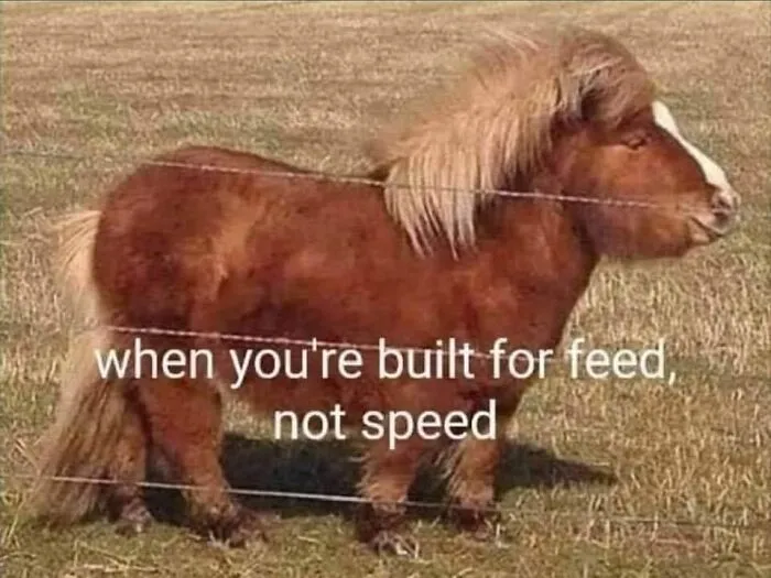 Its True.