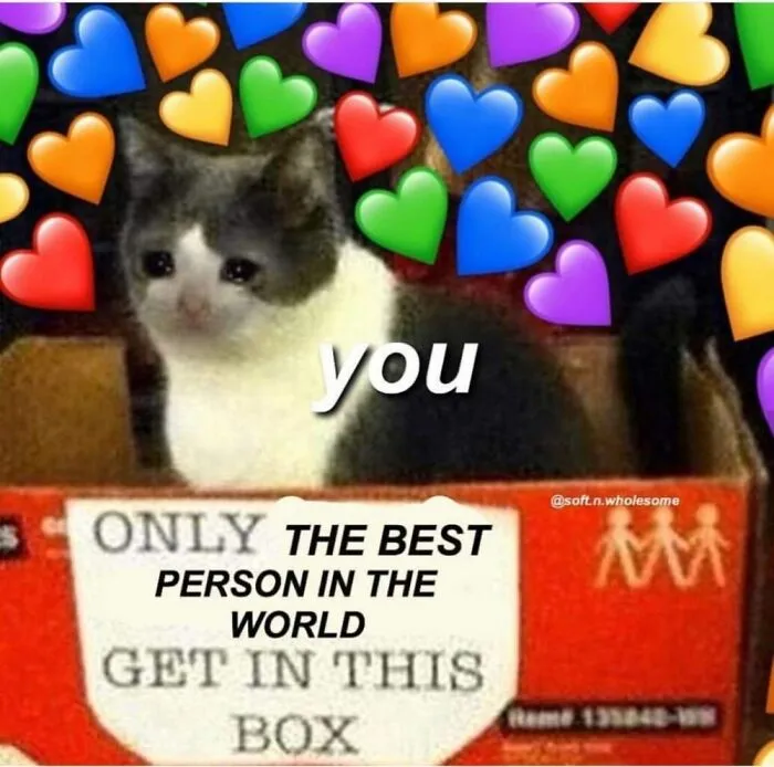 For Anybody Who Needs This :)