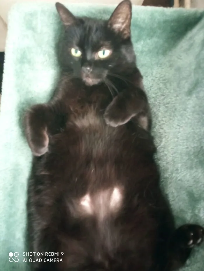 My 12 Year Old Lady Enjoying Life.