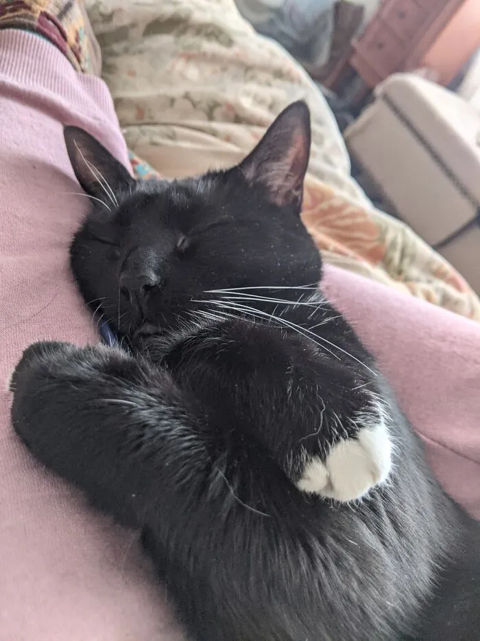 Sleepy Lucy