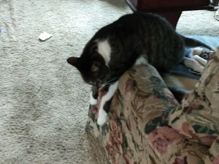 Got Tired Waiting For Me To Come Home