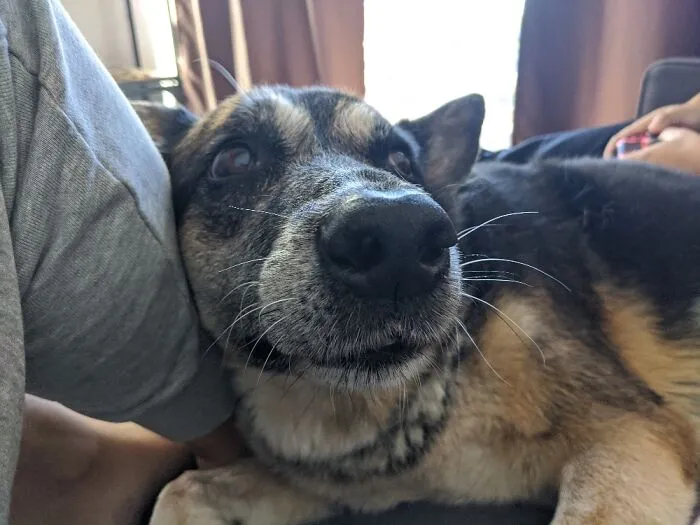 This Baby Trying To Get Your Attention