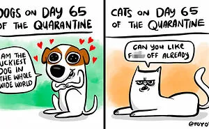 40 Satirical Comics About Everyday Incidents By Yoyoha