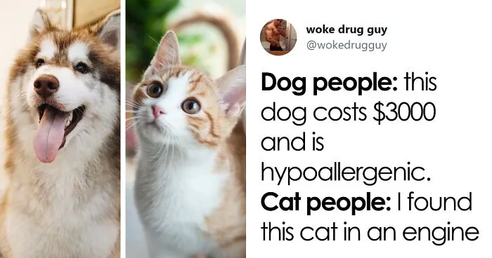 40 Of The Best "Dog People Vs. Cat People" Tweets