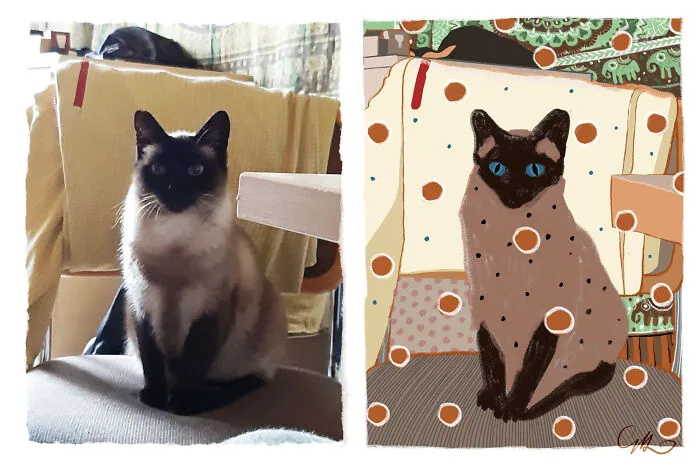 Sent This Picture Of My Cat To My Sister. Her Response Was Amazing!