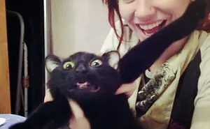 40 Hilarious Times Cats Said A Firm 'NO' To Cuddles