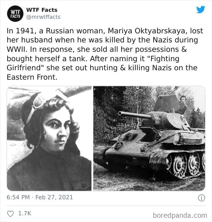 50 Random Facts That Sound Fake But Aren't, Shared By This Twitter Account