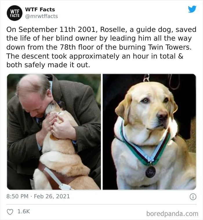 50 Random Facts That Sound Fake But Aren't, Shared By This Twitter Account