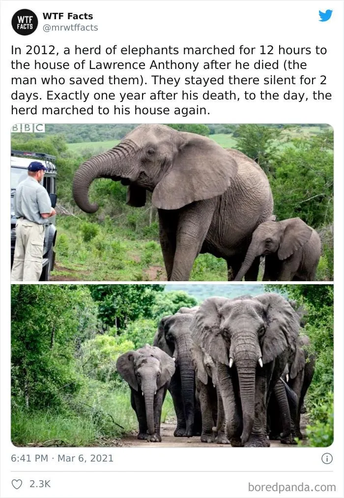 50 Random Facts That Sound Fake But Aren't, Shared By This Twitter Account